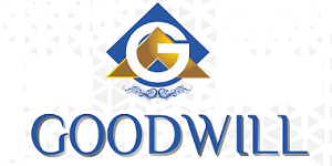 Goodwill